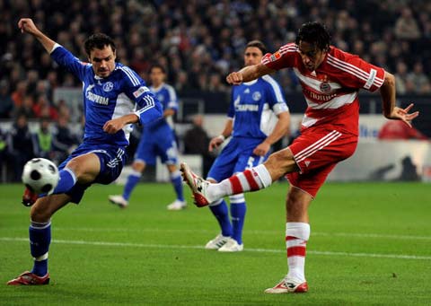 他丰富的比 他丰富的比